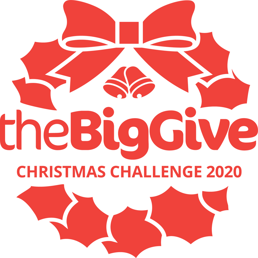 November Big Give Newsletter 2020
